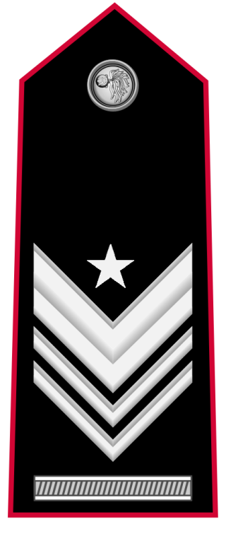 gradi arma carabinieri